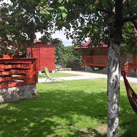 Casa Anamaria Turda Exterior foto