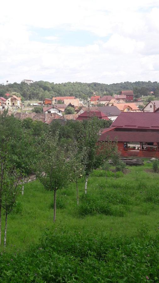 Casa Anamaria Turda Exterior foto